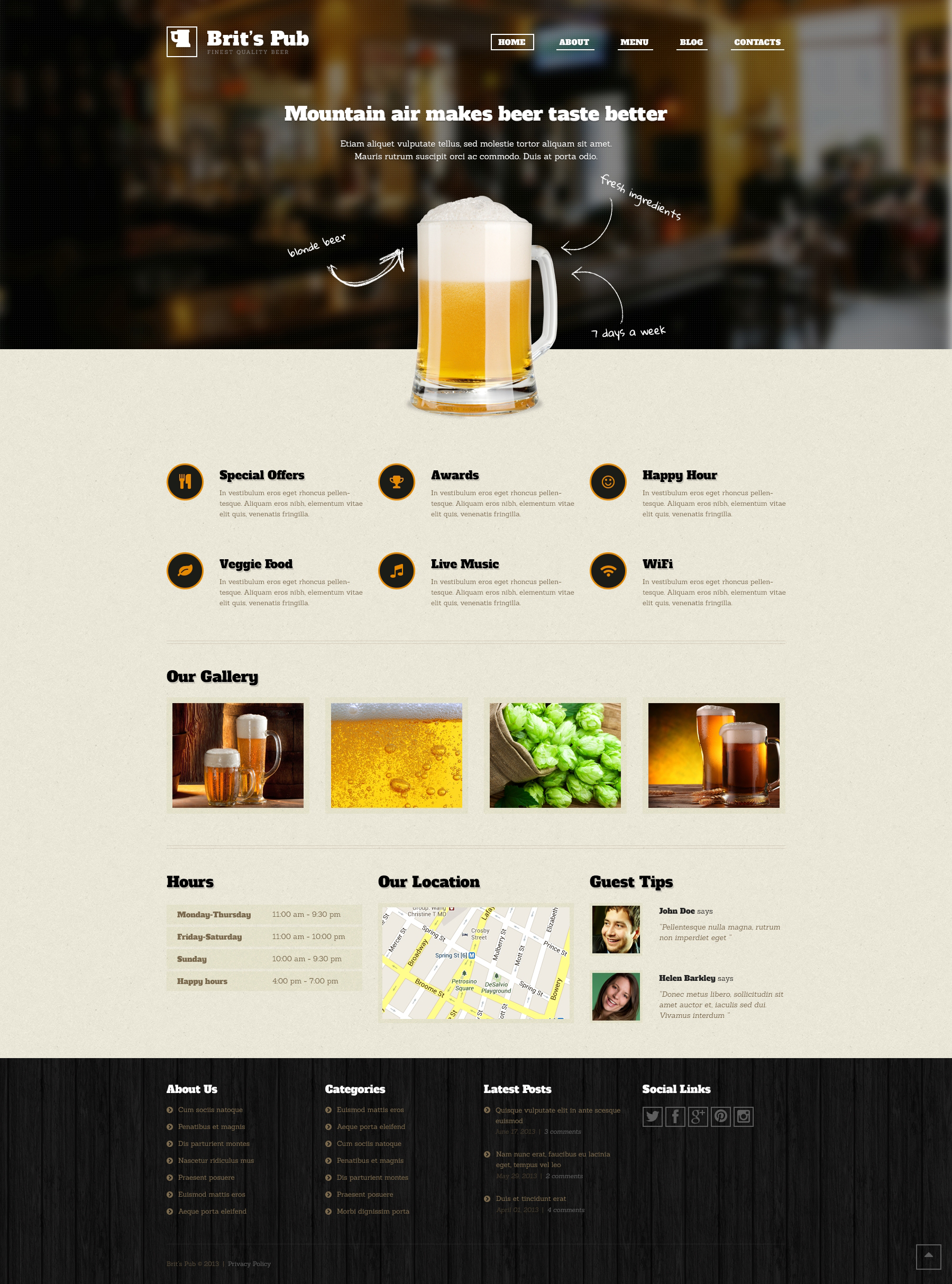 Responzivní WordPress motiv "Beer Pub" #46902