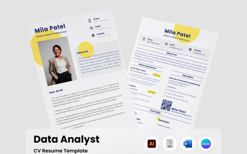 Data Analyst Professional CV Resume Resume Template