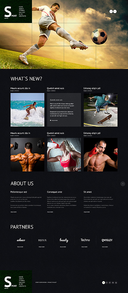 WordPress main photoshop screenshot
