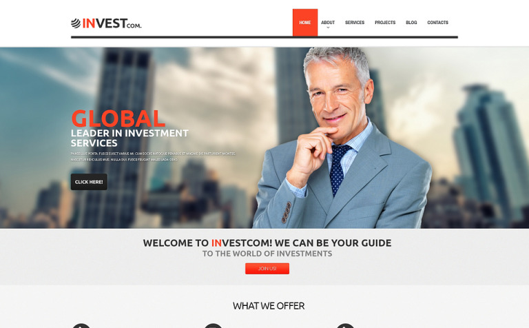 Accounting Website Responsive WordPress Template Big Screenshot Accounting Website Responsive WordPress Theme New Screenshots BIG