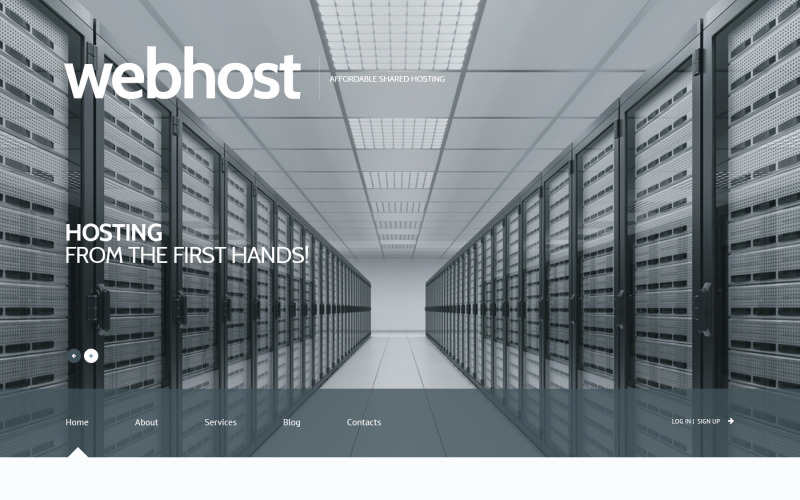 Hosting Responsive WordPress Theme