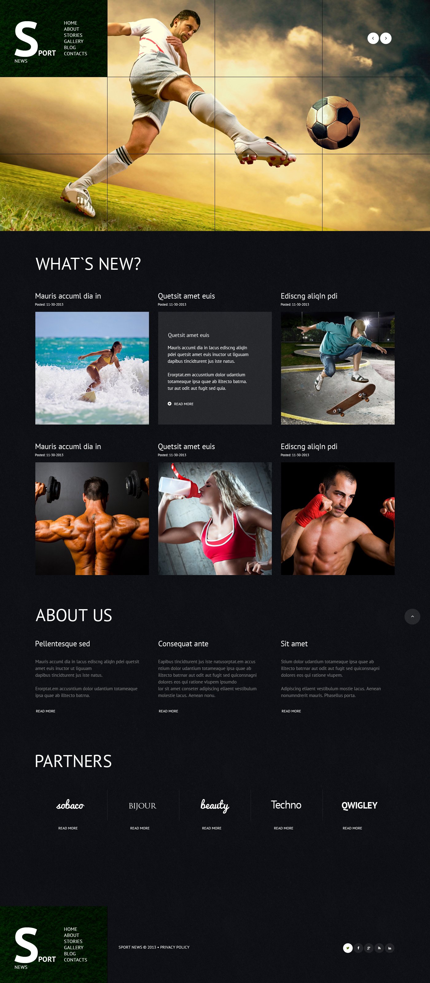 Sports News Responsive WordPress Theme