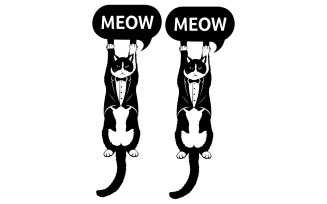 A black and white cat hanging upside down