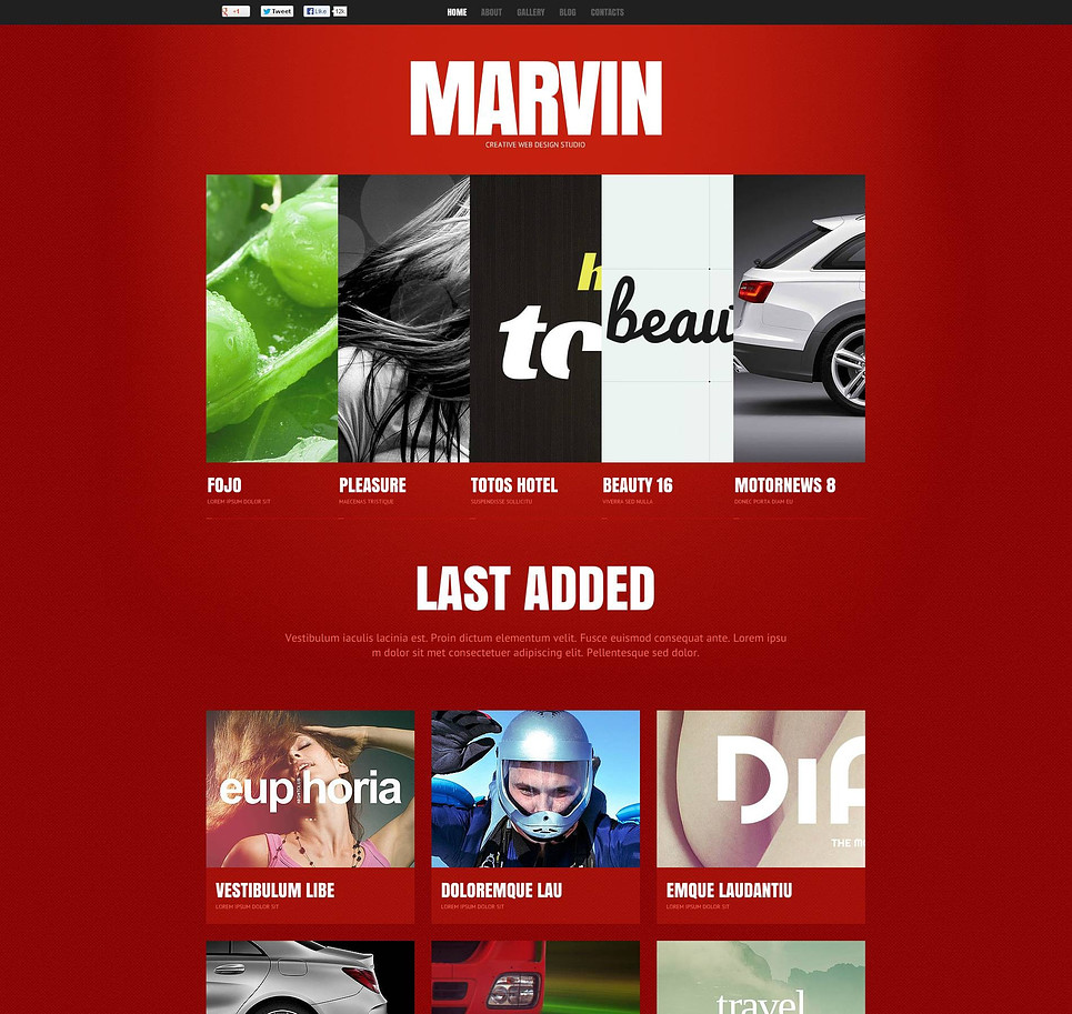 Web Design Flash CMS Template New Screenshots BIG