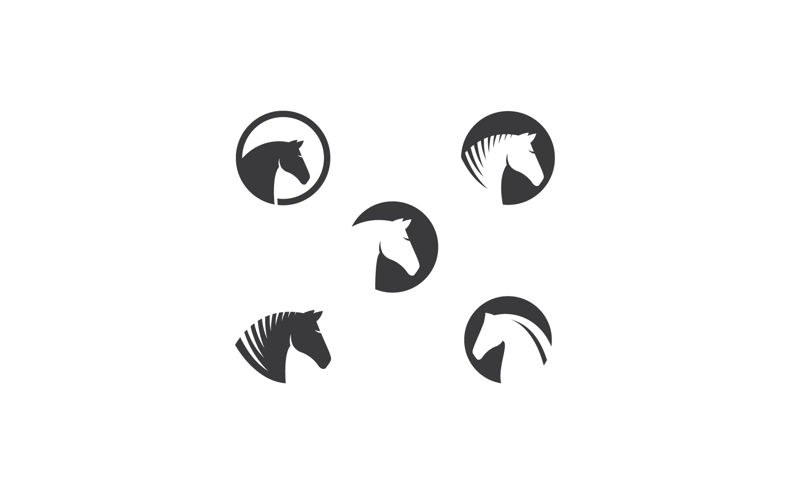 Horse Logo illustration flat design Logo Template