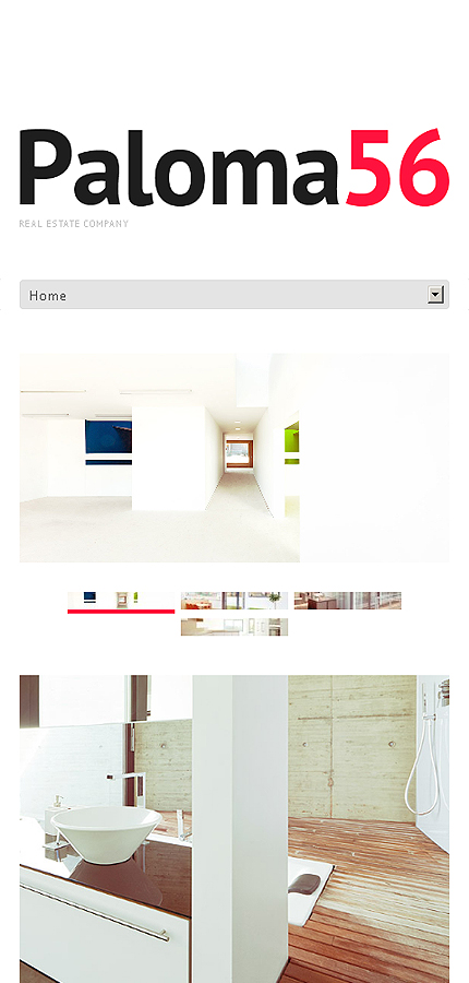 Smartphone Layout 1