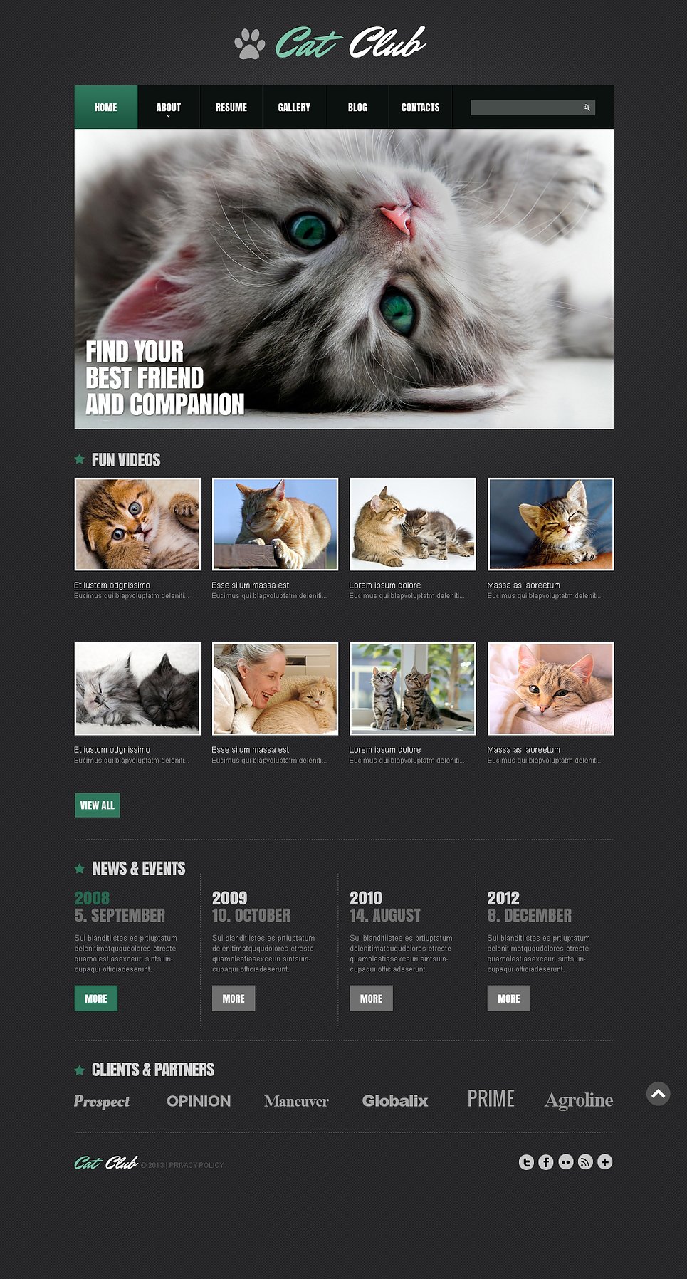 Cat Responsive Joomla Template New Screenshots BIG