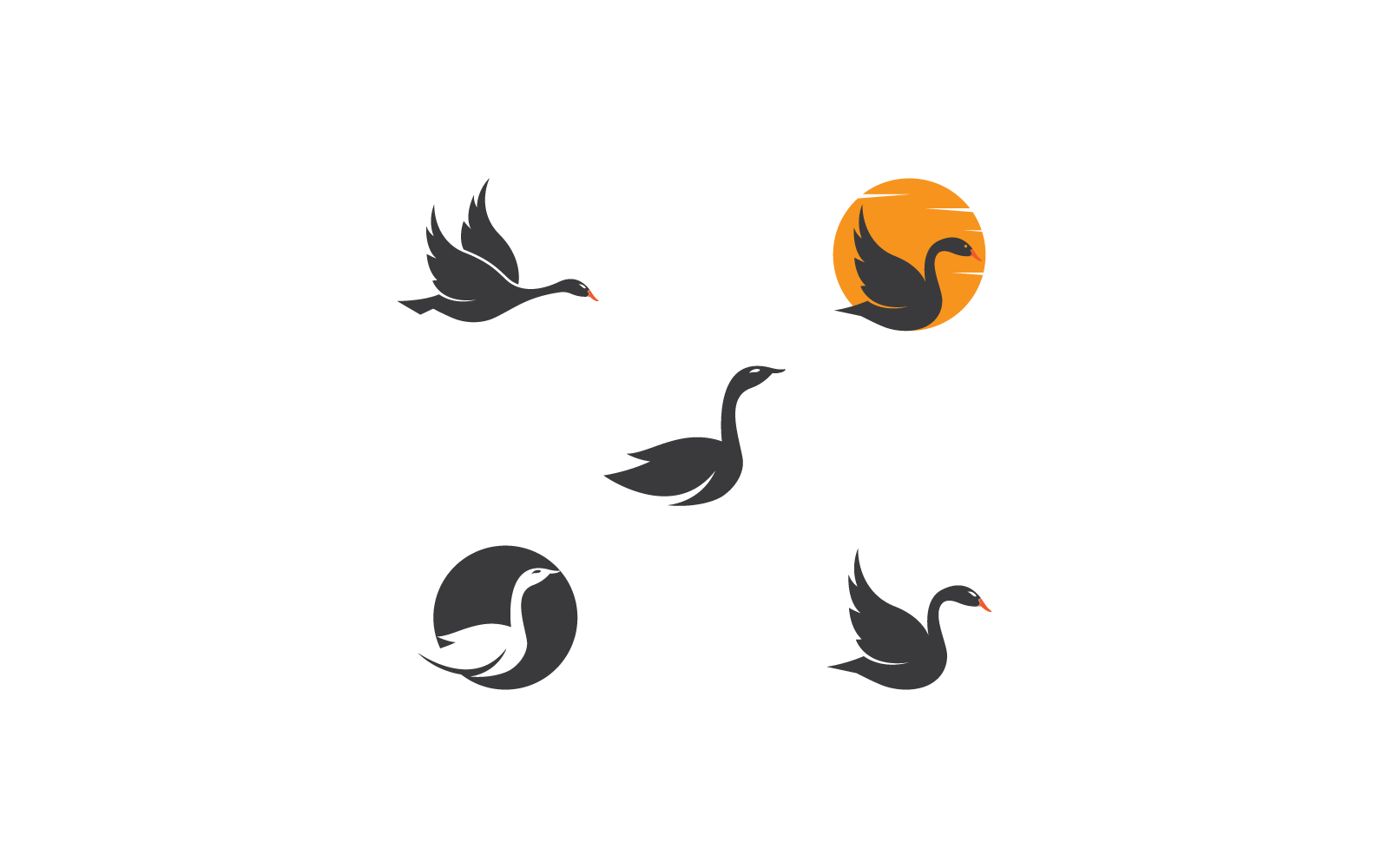 Swan icon logo Template vector illustration design