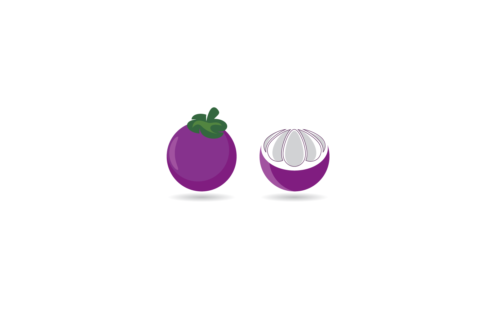 Mangosteen logo illustration icon vector design