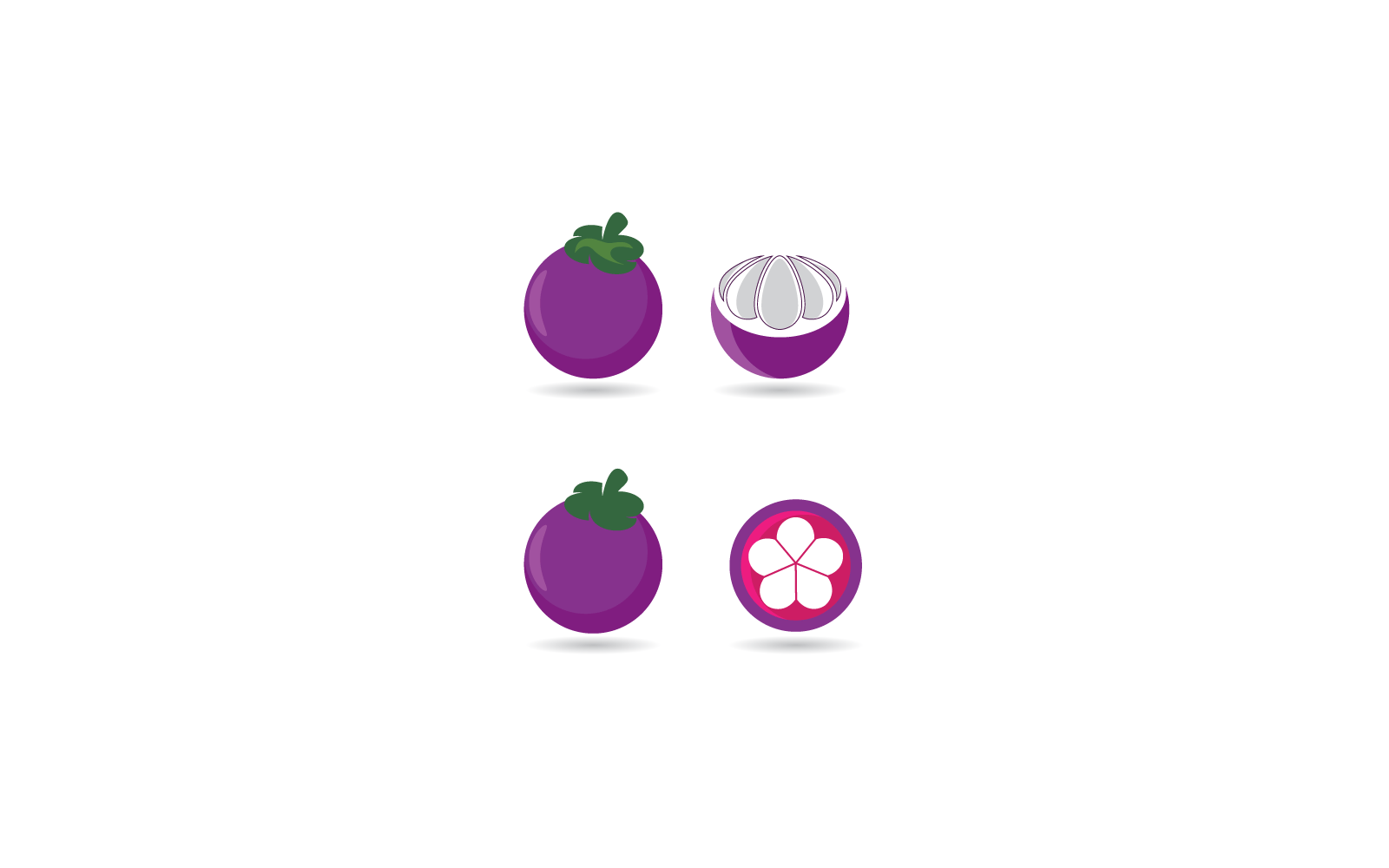 Mangosteen logo set illustration vector design