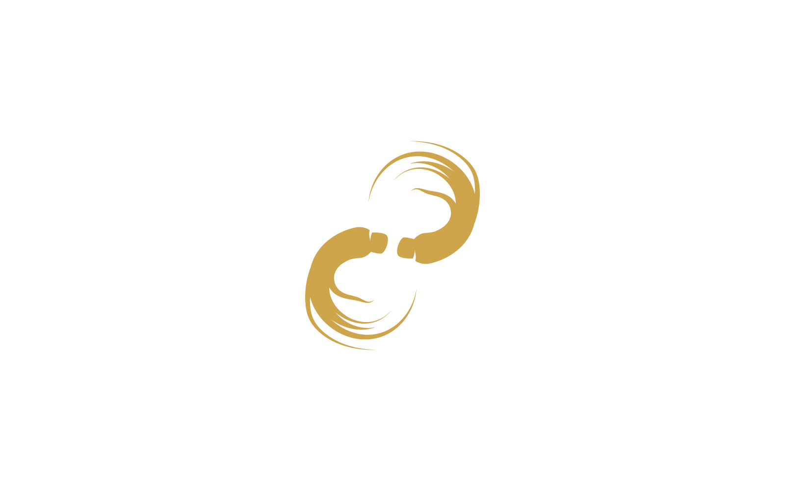 Ginseng logo icon vector template