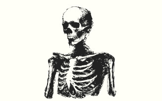 Skeleton Lovers png, Valentine Skeleton, Gothic png, Skeleton png, Skull png, Horror Couple png,