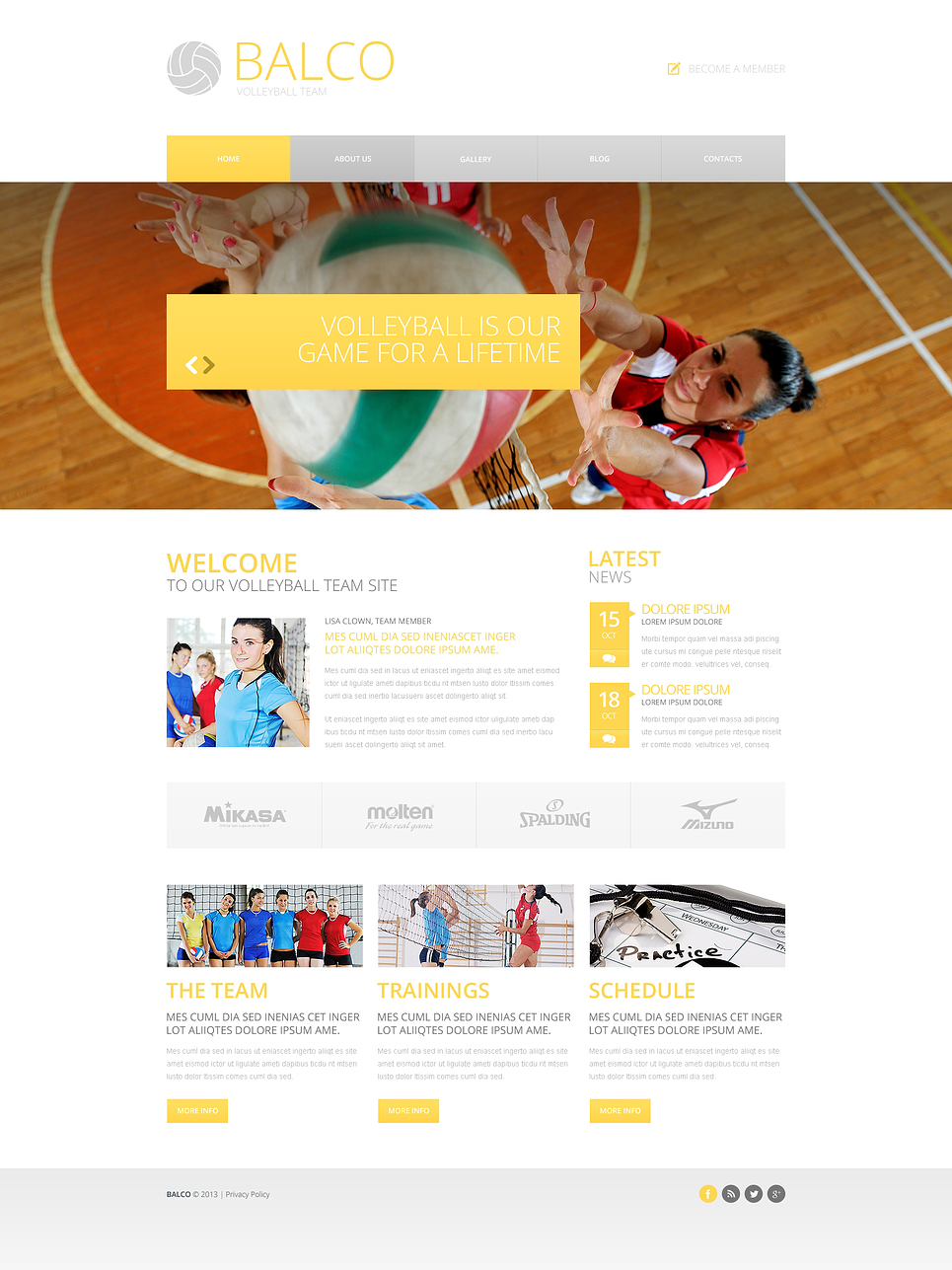 Volleyball Responsive Website Template New Screenshots BIG
