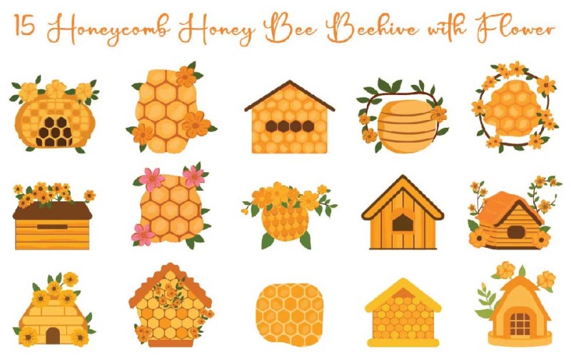 15 Honeycomb Honey Bee Beehive with Flower Illustration