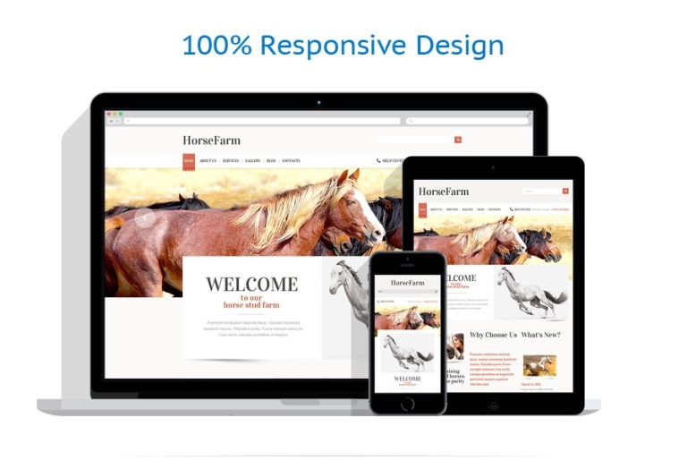 Horse Barn Website Template