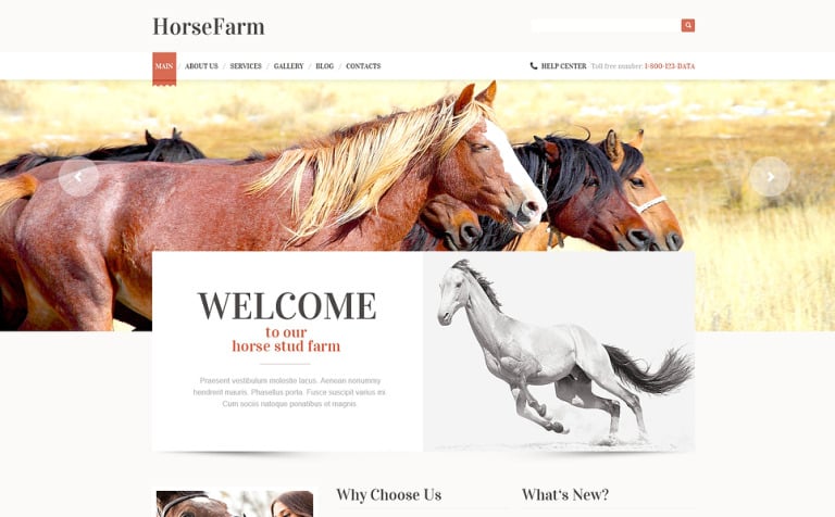 Promotion of Horse Farms WordPress Theme