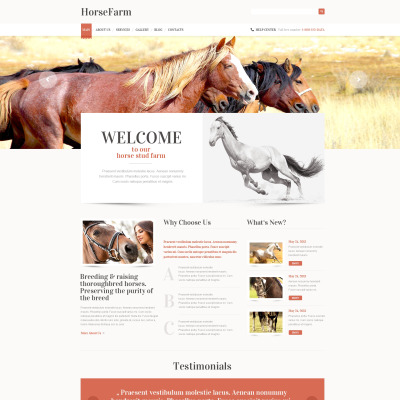 Horse Responsive WordPress Motiv