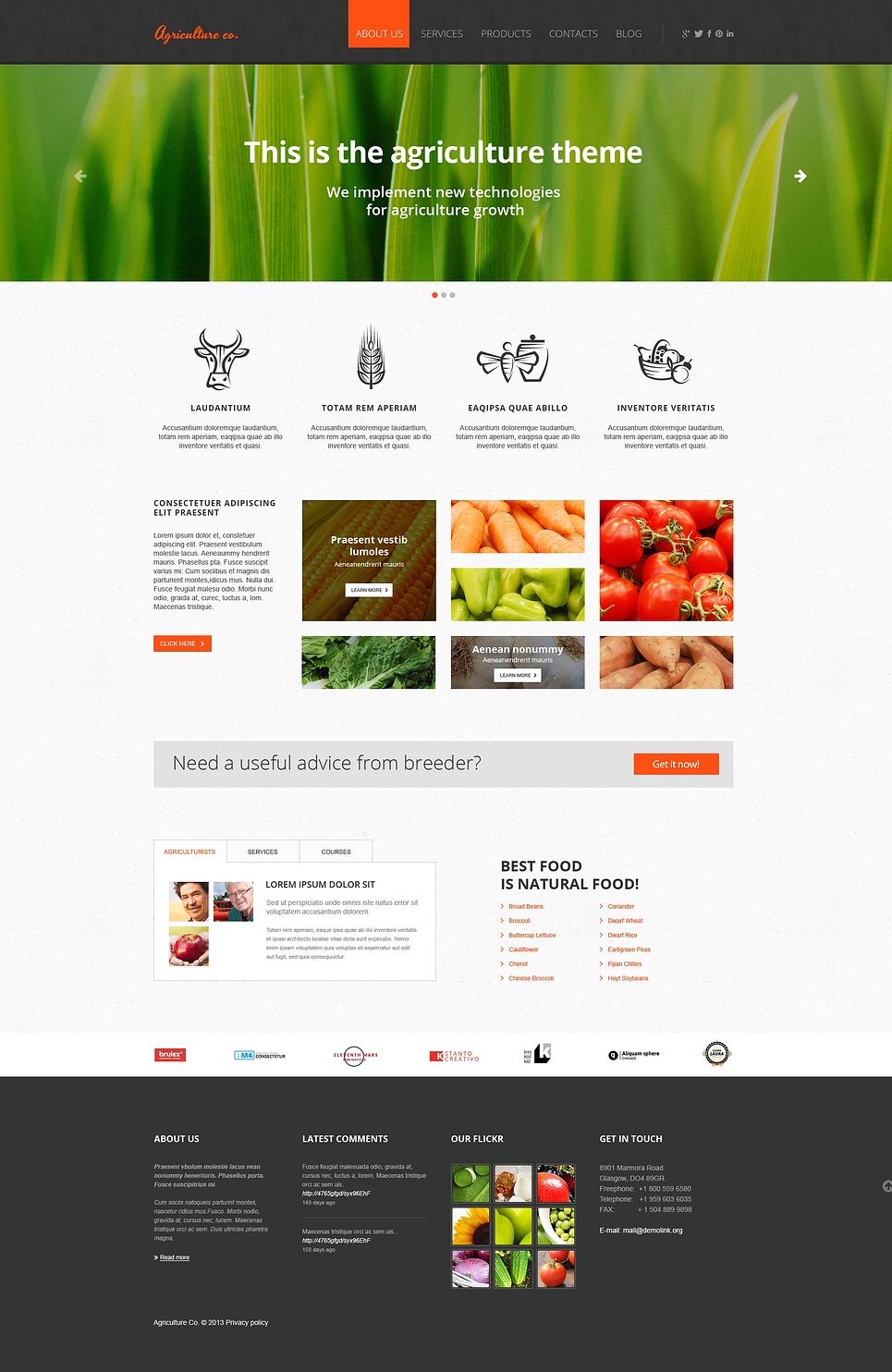 Vegetable Responsive Website Template New Screenshots BIG