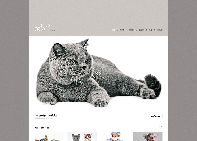 Zoo Responsive WordPress Theme Big Screenshot Zoo Responsive WordPress Theme New Screenshots BIG