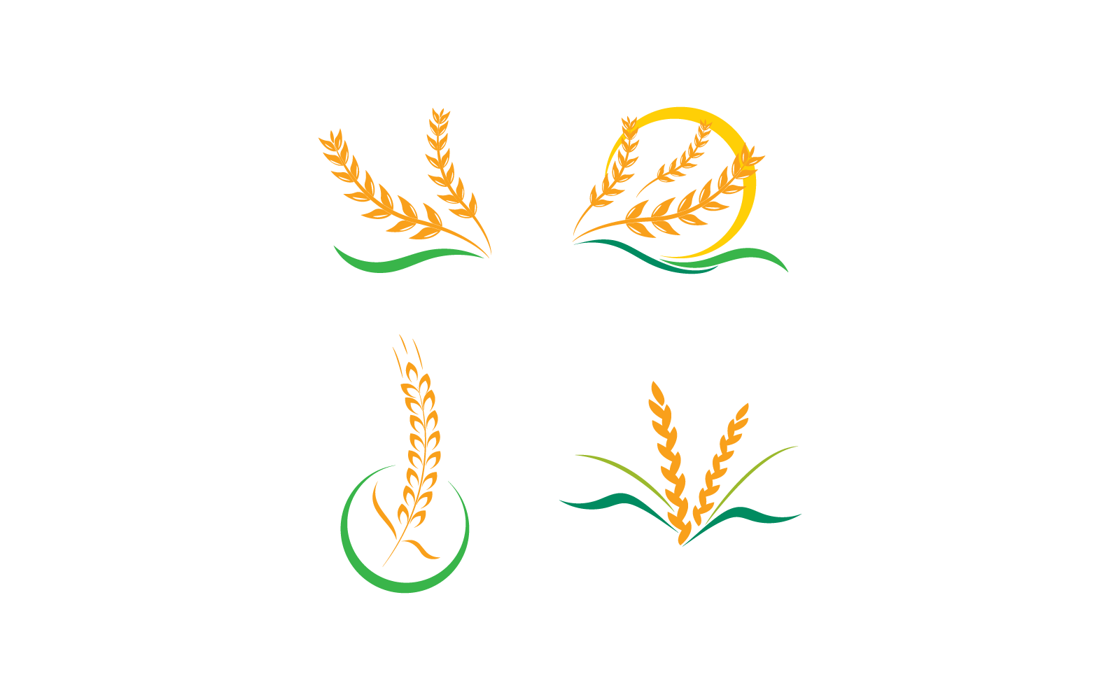 Wheat logo icon vector template