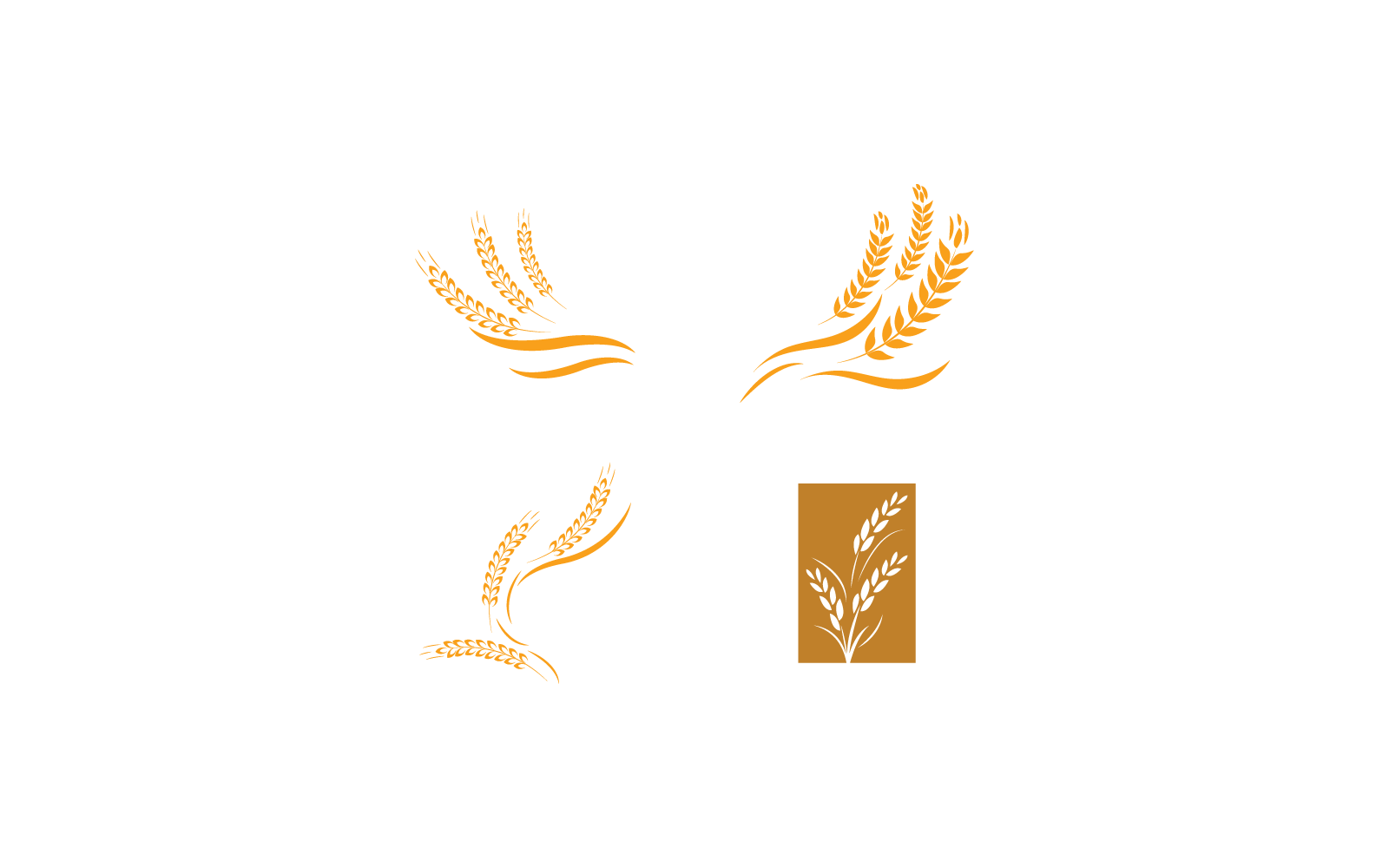 Wheat logo vector illustration icon design