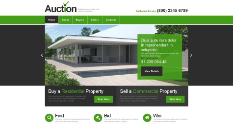 Auction