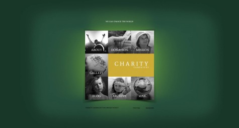 Charity Campaigns