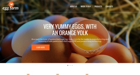Egg Farm