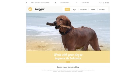 Dogger