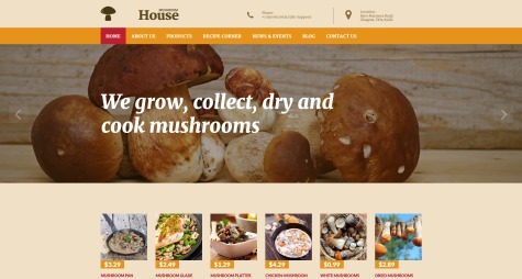 Mushroom House
