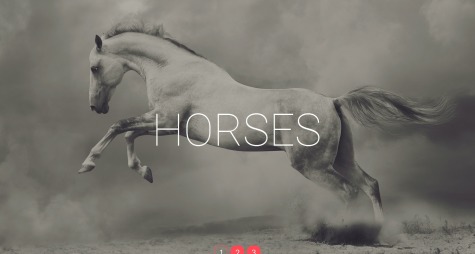 Horses