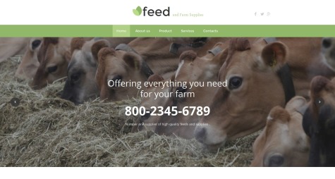 Feed