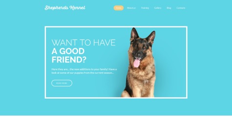 Shepherds Kennel