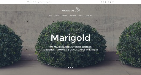 Marigold