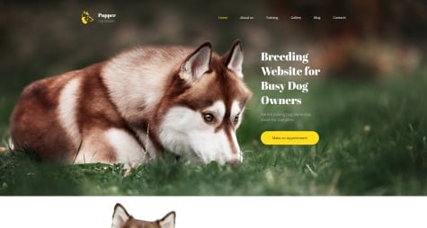 websites for dog stuff