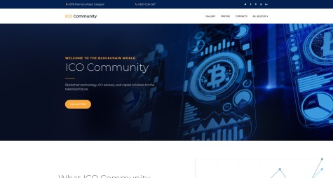 ICO Community