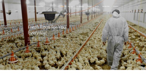 PoultryFarm