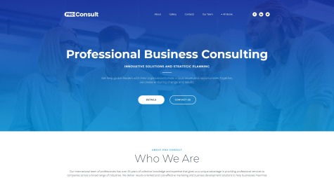 Pro Consult