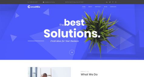 ConsultBiz