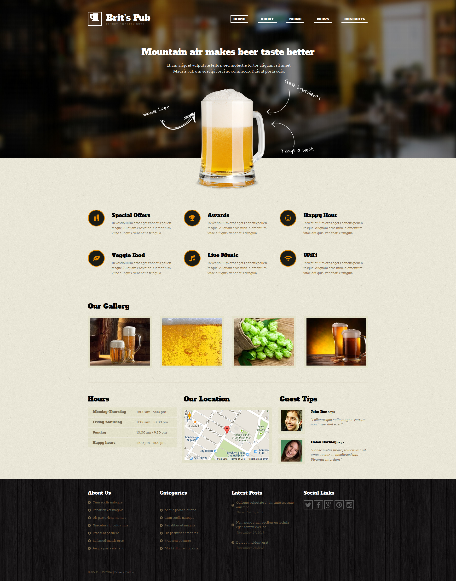 Pub web. Дизайн сайта пивоварни. Pub WORDPRESS Template. Плагин на пивоварение. Pub WORDPRESS Themes.