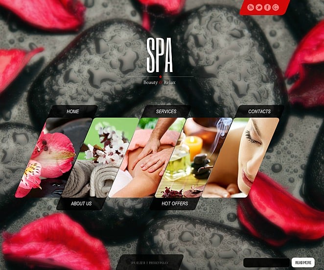 Beauty Salon Flash CMS Template New Screenshots BIG