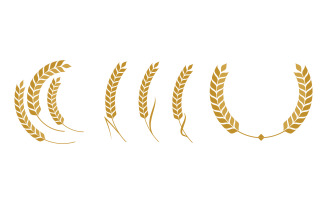 Agriculture wheat vector icon design illustration v.2