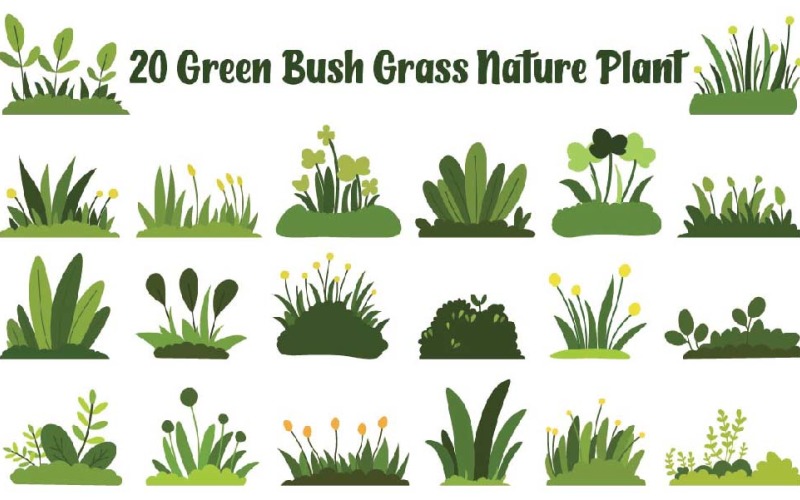 20 Green Bush Grass Nature Plant Illustration