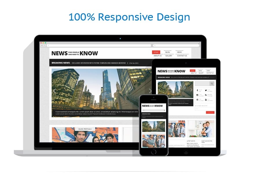 wordpress thme responsive layout