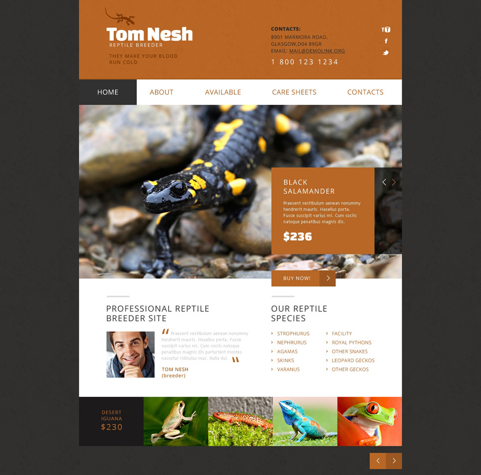 Reptile Responsive Website Template Big Screenshot Reptile Responsive Website Template New Screenshots BIG