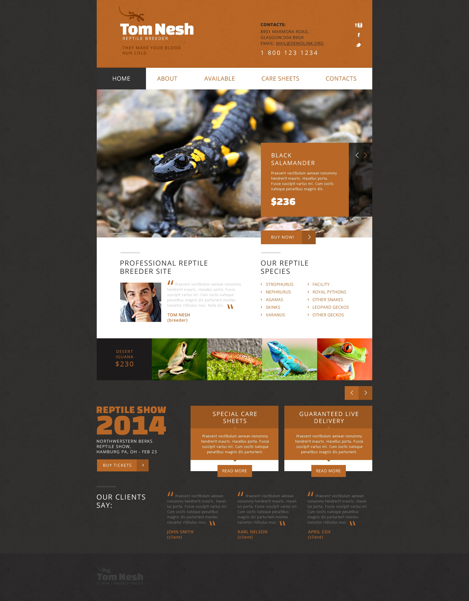 Reptile Responsive Website Template #47705