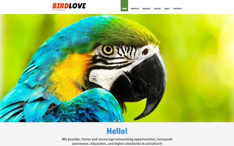 Birds Responsive Joomla Template