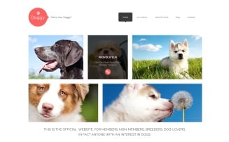 Dog Responsive WordPress Theme
