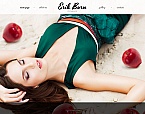 Flash Photo Gallery Template  #48169