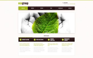 Alternative Power Responsive WordPress Theme